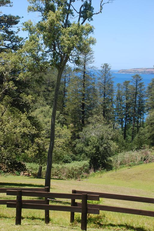 Coast Norfolk Island Apartment Burnt Pine Room photo
