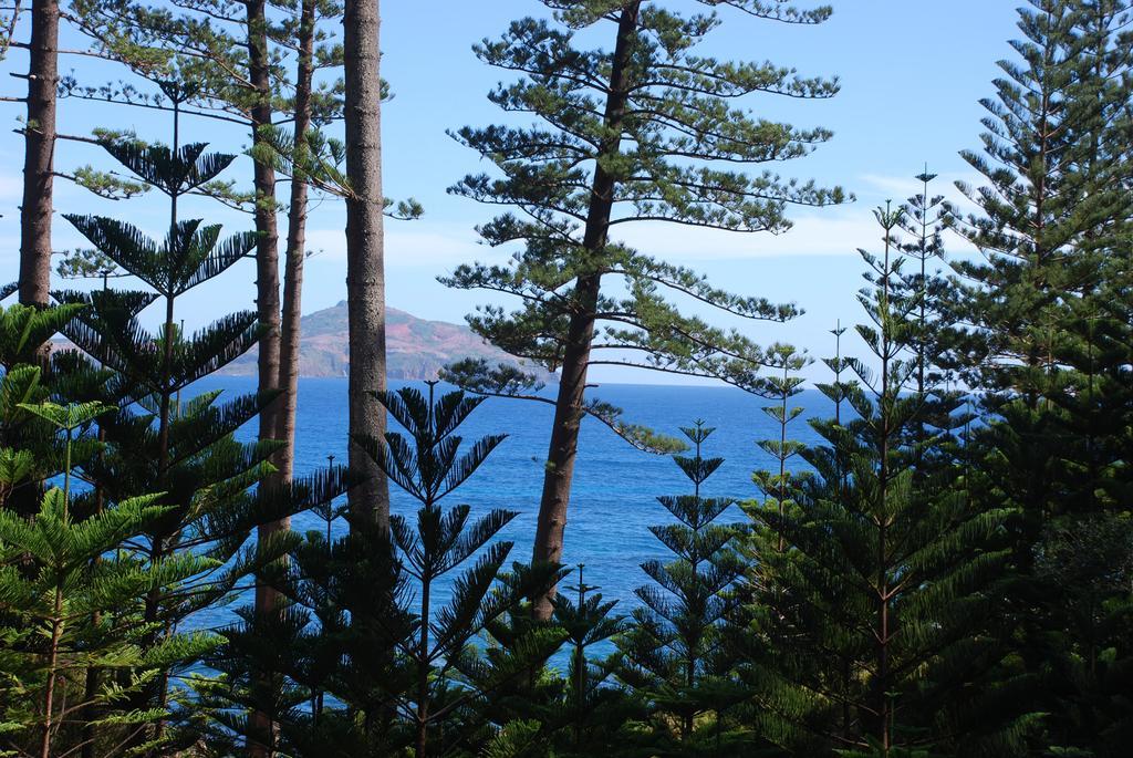 Coast Norfolk Island Apartment Burnt Pine Room photo