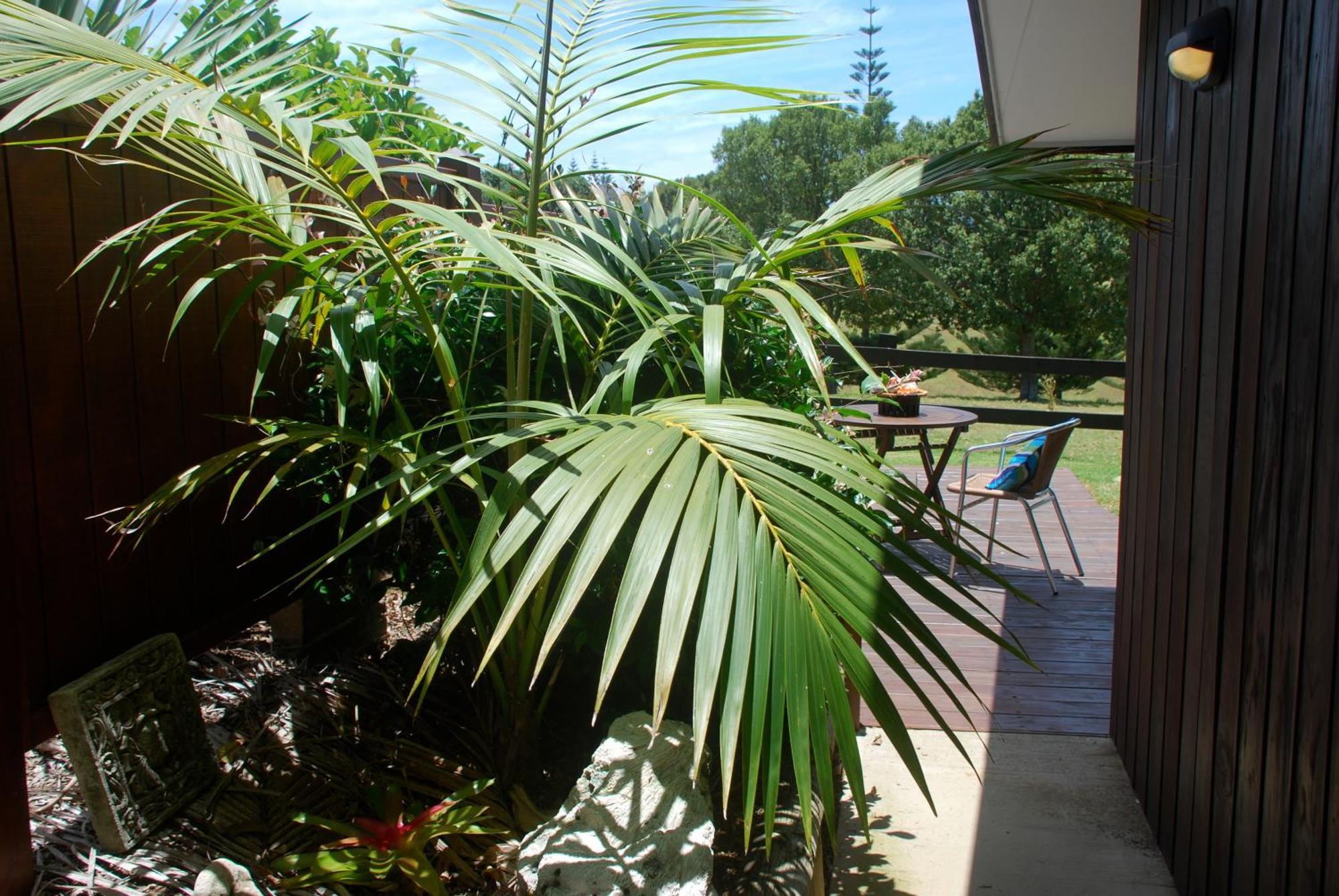 Coast Norfolk Island Apartment Burnt Pine Exterior photo