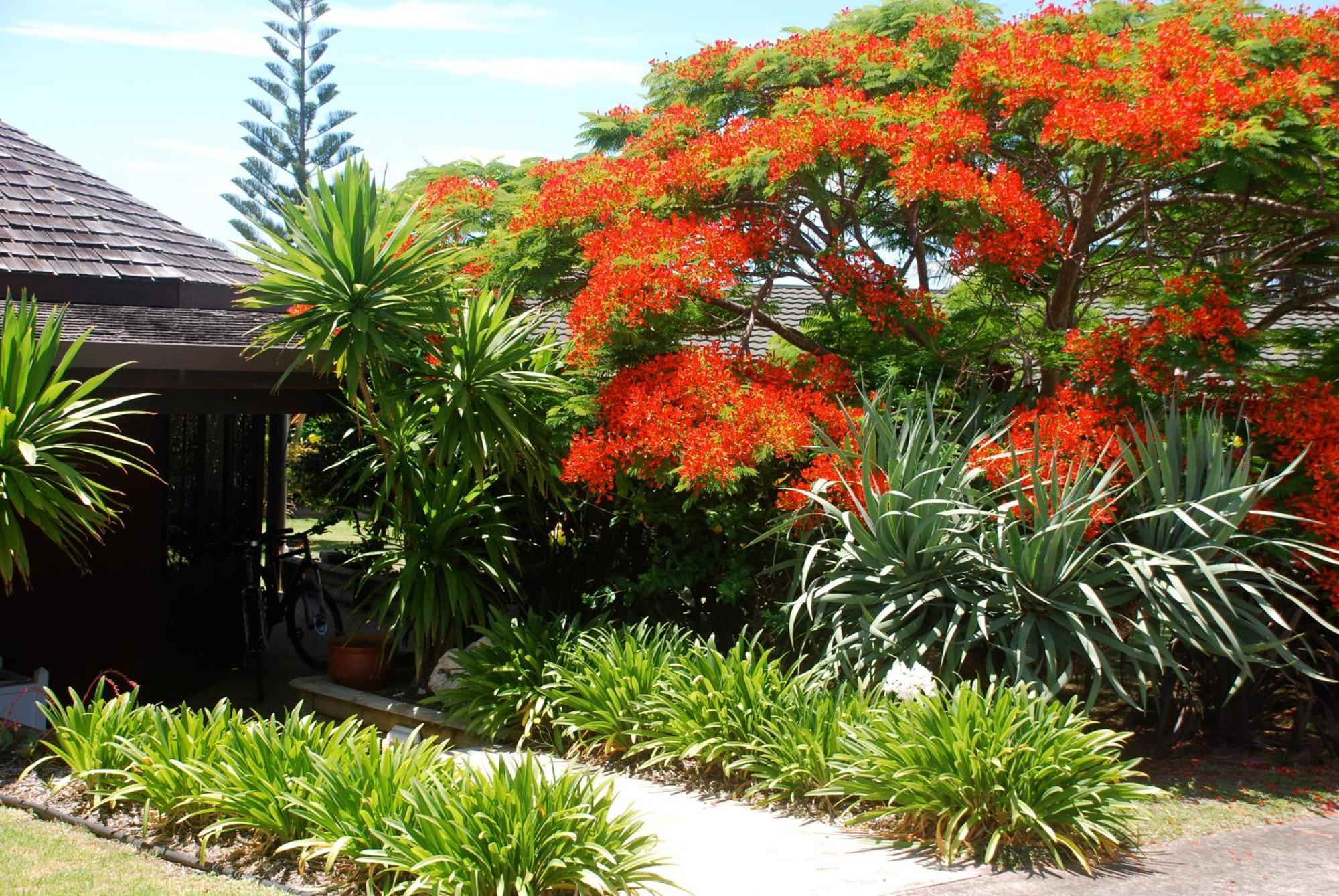 Coast Norfolk Island Apartment Burnt Pine Exterior photo